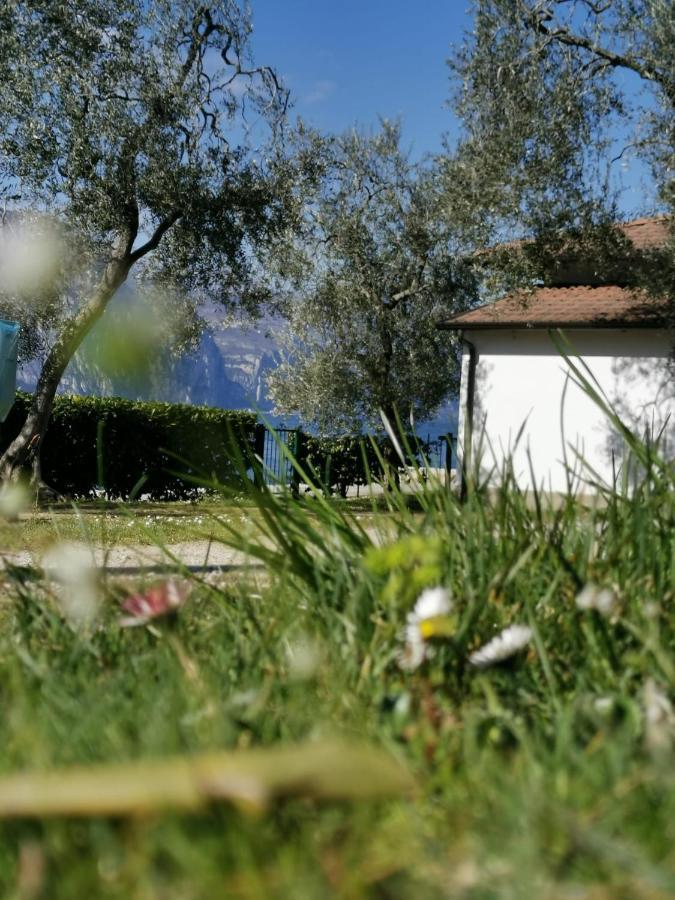 Camping Baldo Brenzone sul Garda Zewnętrze zdjęcie