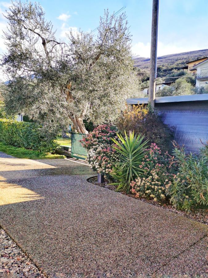 Camping Baldo Brenzone sul Garda Zewnętrze zdjęcie