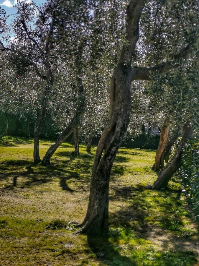 Camping Baldo Brenzone sul Garda Zewnętrze zdjęcie
