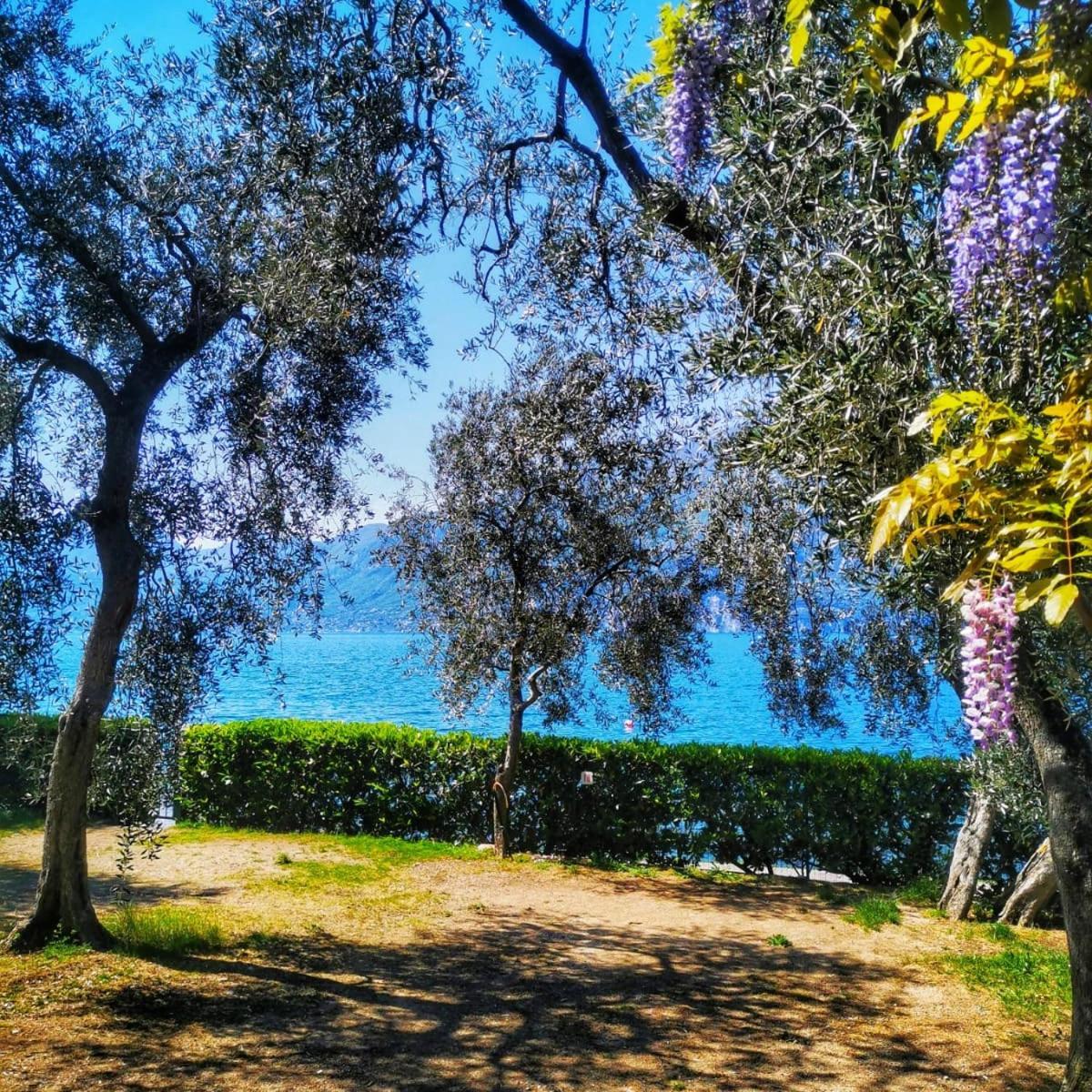 Camping Baldo Brenzone sul Garda Zewnętrze zdjęcie